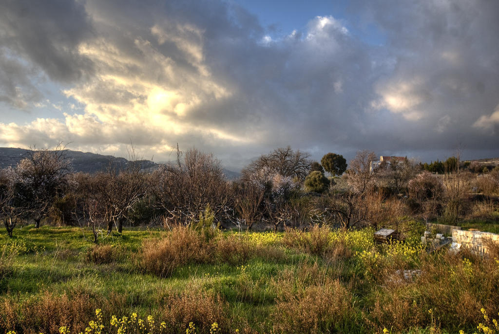 Lania Royal Oak House By Trulycyprus Villa Exterior foto